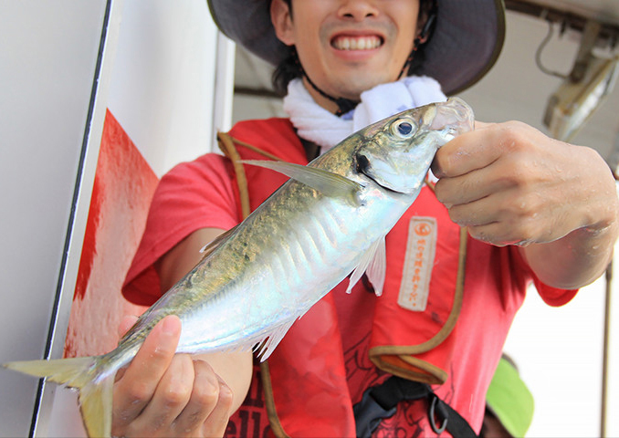 海戦アジ シリーズ | NEW PRODUCT TALK | WEBマガジン HEAT