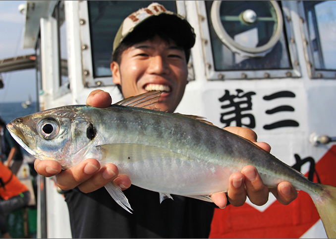 7月に狙いたい魚 アジ | 今月狙いたい魚 | p1 | WEBマガジン HEAT