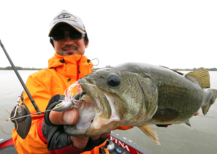 fish_bass01-C-1.jpg
