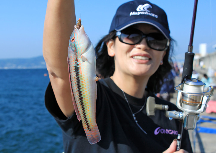 5月に狙いたい魚 ベラ 今月狙いたい魚 Webマガジン Heat