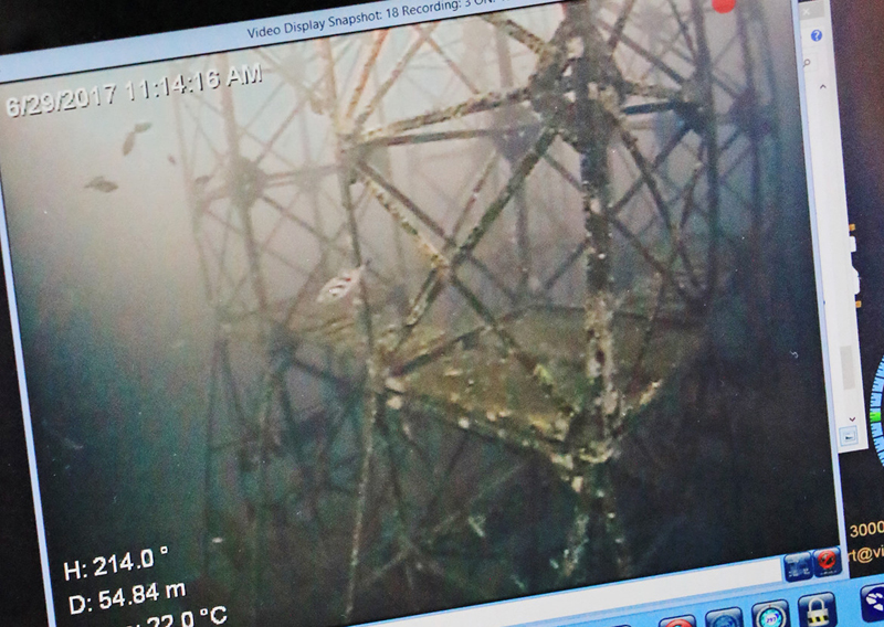 ROVによる水中映像