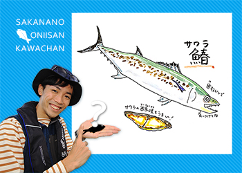 身は白いのに 実は赤身の魚 知って得する 川田一輝のお魚あれこれ No 5 Webマガジン Heat