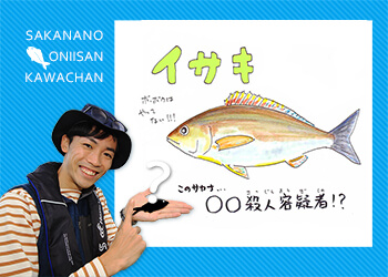 夏のイサキはタイより美味いっ！でもしかし… 異名はなかなかに恐ろしい | 知って得する！川田一輝のお魚あれこれ | No.11 | WEBマガジン  HEAT