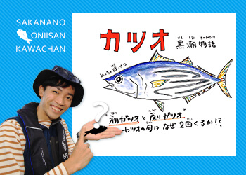 カツオの旬はなぜ2回くる？ | 知って得する！川田一輝のお魚あれこれ