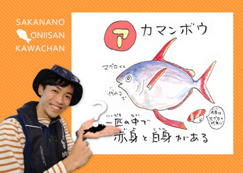 thumbnail_kawata1911_1.jpg