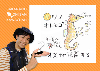 あ・い・う・え・おさかな 【タ行】のお魚な～に？ | 知って得する