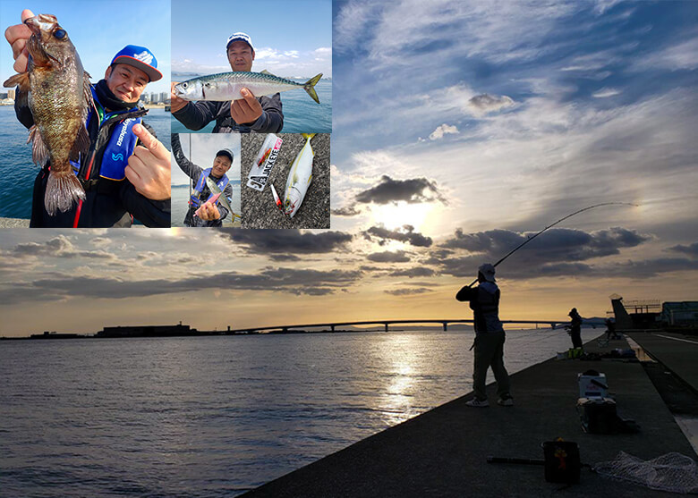 梅雨シーズンの6月に堤防で楽しめる 関西のおススメ釣りモノ3選 リーマンアングラー イノォの 釣りたい 楽しみたい 伝えたい P2 Webマガジン Heat