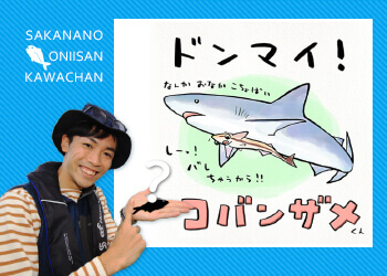 ドンマイ！コバンザメくん | 知って得する！川田一輝のお魚あれこれ