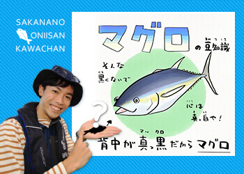 マグロの豆知識！ いくつ知ってたかな？ | 知って得する！川田一輝のお