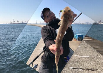 ショアジギングの外道代表！ 嫌われ者だけど実は美味しい!? エソの魅力