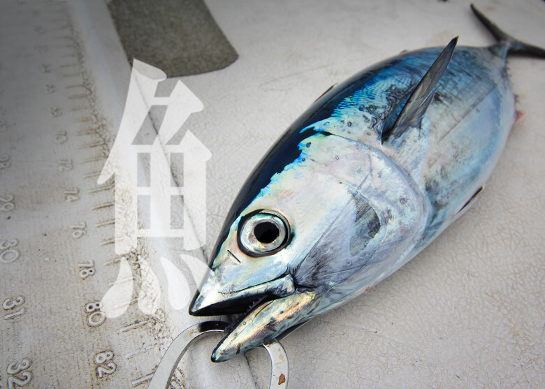 魚へんの漢字_text-photo_岳原雅浩