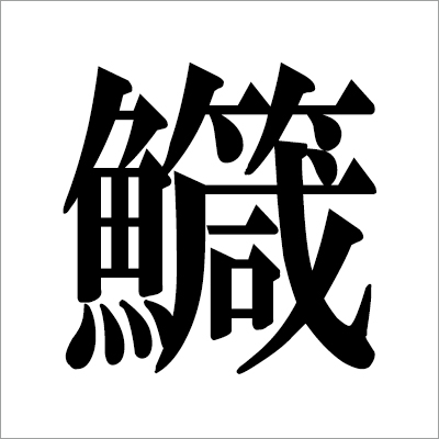 illust04_　サヨリ漢字