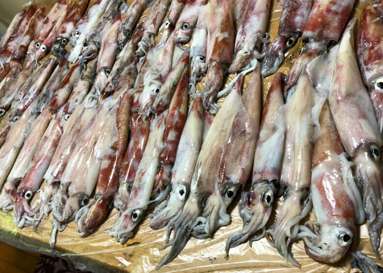 夜焚きで釣れた大漁のイカ!? 手際よく、美味しく処理するステップ紹介！ | 料理長ナオが魚のさばき方教えます！ | WEBマガジン HEAT