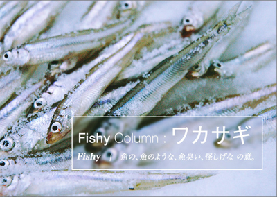 01_FISHY COLUMN ワカサギ