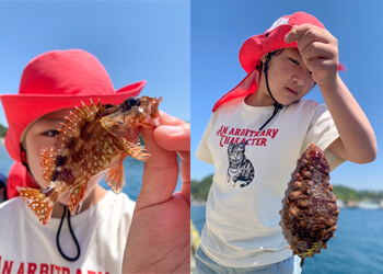 エギングをしに浜田釣行のはずが… リールを忘れてまさかのカサゴ釣り