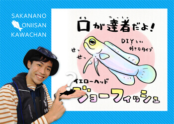 魚の頭部デザインのイエローハット 7型ﾜｲﾄﾞｶﾗｰ液晶ﾌﾟﾛｯﾀｰﾃﾞｼﾞﾀﾙ魚探 HE-701GP-Di GPSｱﾝﾃﾅ内蔵仕様