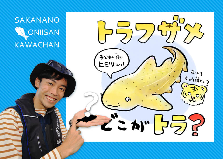 単為生殖！メスだけで出産するサメがいる | 知って得する！川田一輝のお魚あれこれ | No.150 | WEBマガジン HEAT