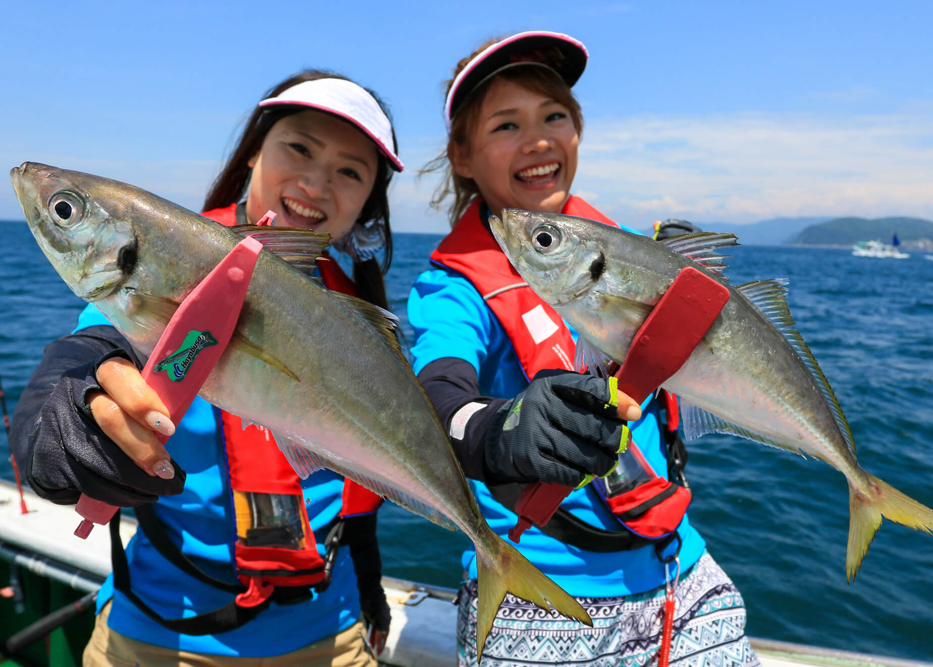 大阪湾口の鬼アジ船釣りのツボ教えます！ 「サビキ仕掛＆オキアミで確実に食わせる方法」 | 春夏秋冬！釣果アップの勘所 | No.10 |  WEBマガジン HEAT