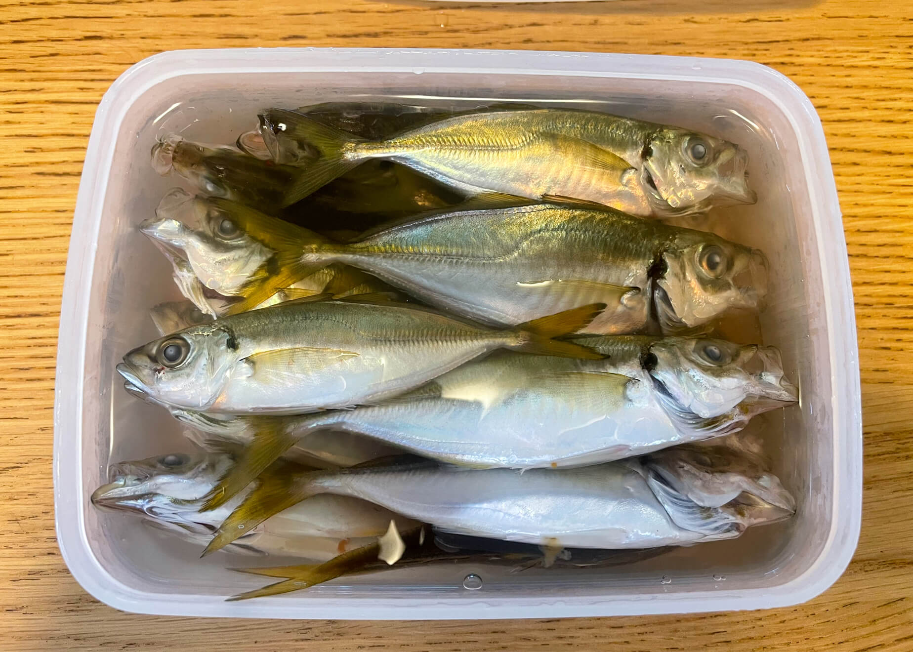 釣っ た 魚 保存