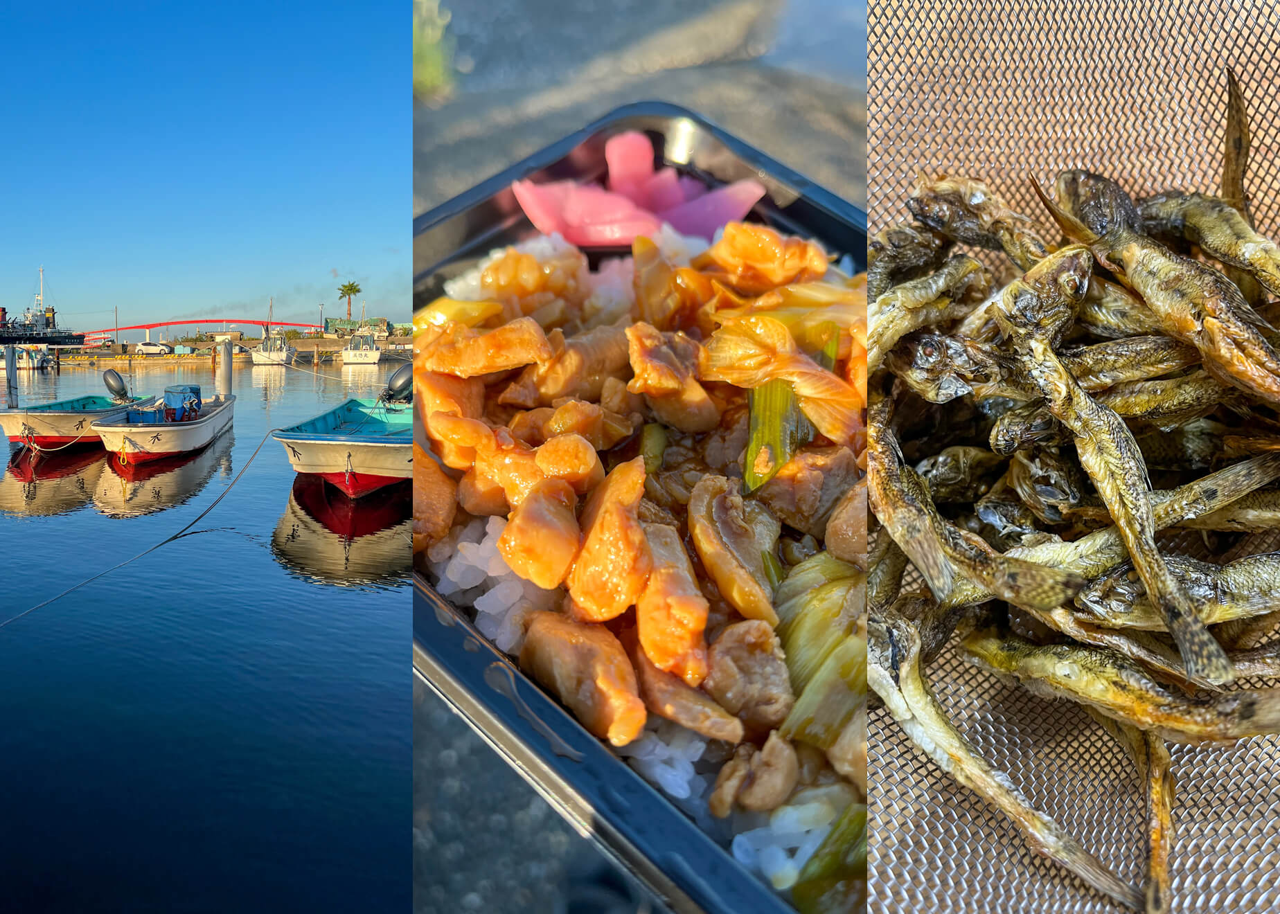 ご当地グルメで朝ご飯も美味しい！ 木更津発！初秋のお手軽「ハゼ釣り」 | WEBマガジン HEAT