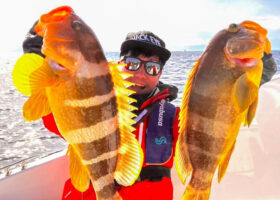 江ノ島沖のジギングで五目釣りを堪能！