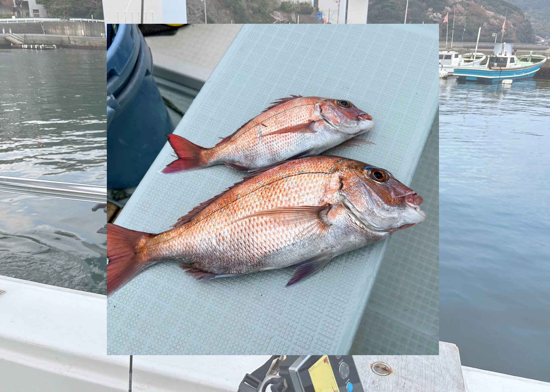 初心者と行く！タイラバ釣行 船釣りデビューにもってこいの魅力ポイントとは？ | WEBマガジン HEAT