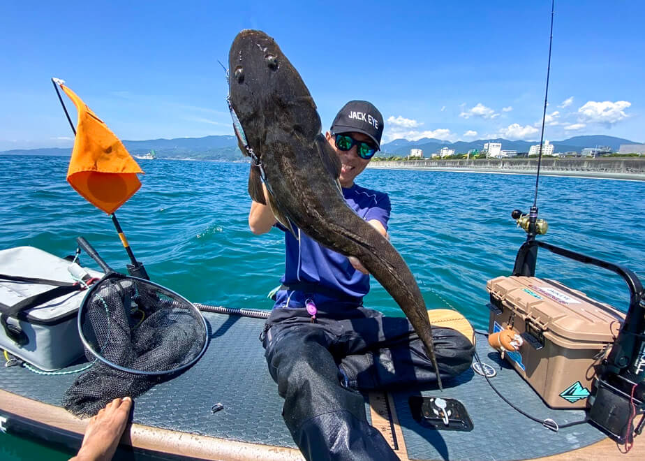 SUPフィッシングで旬の魚を！ 夏の高級魚「マゴチ」をねらう | WEBマガジン HEAT