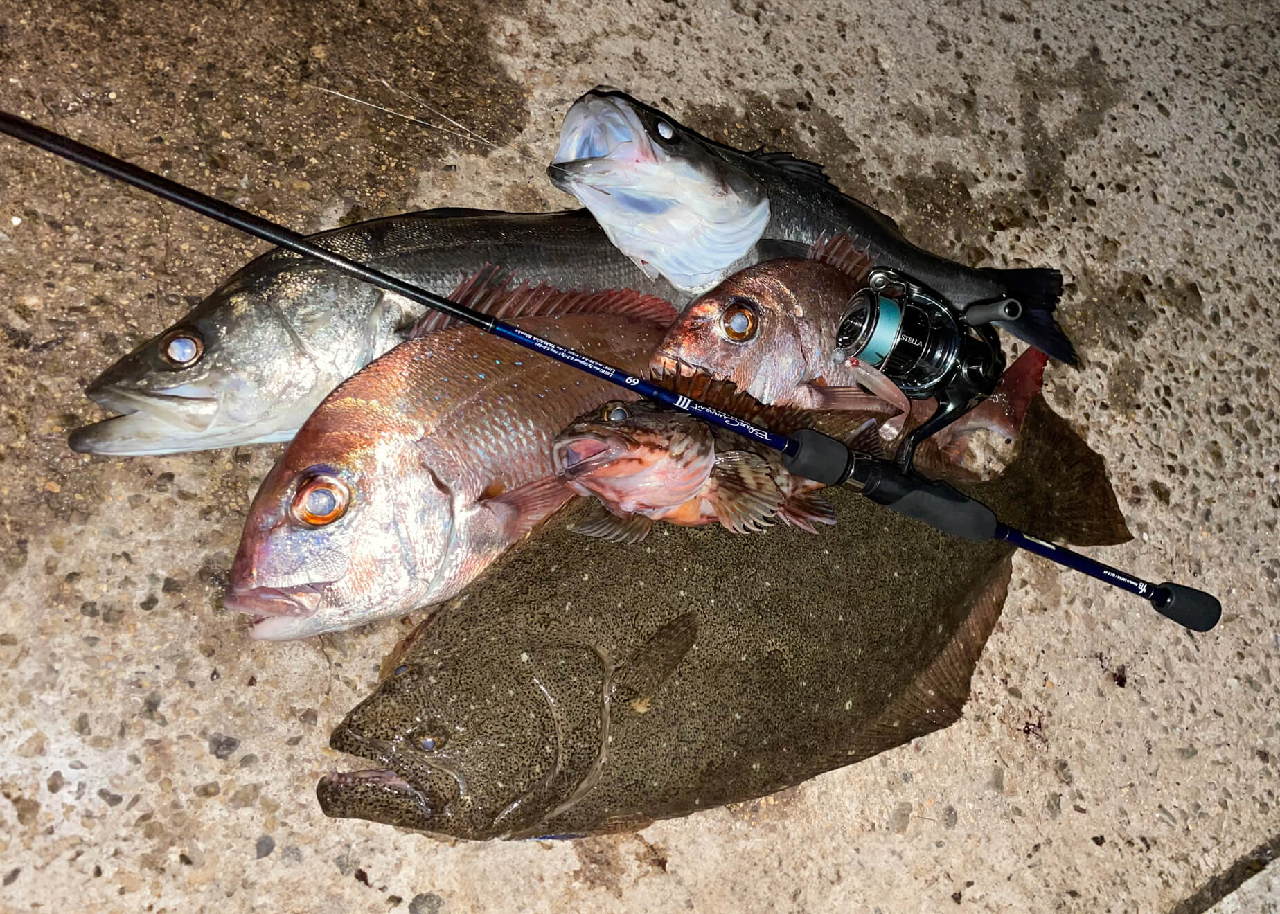 ルアーで楽しむ「ミドルゲーム」ってなに？？？ | FISHFRIENDS×HEAT