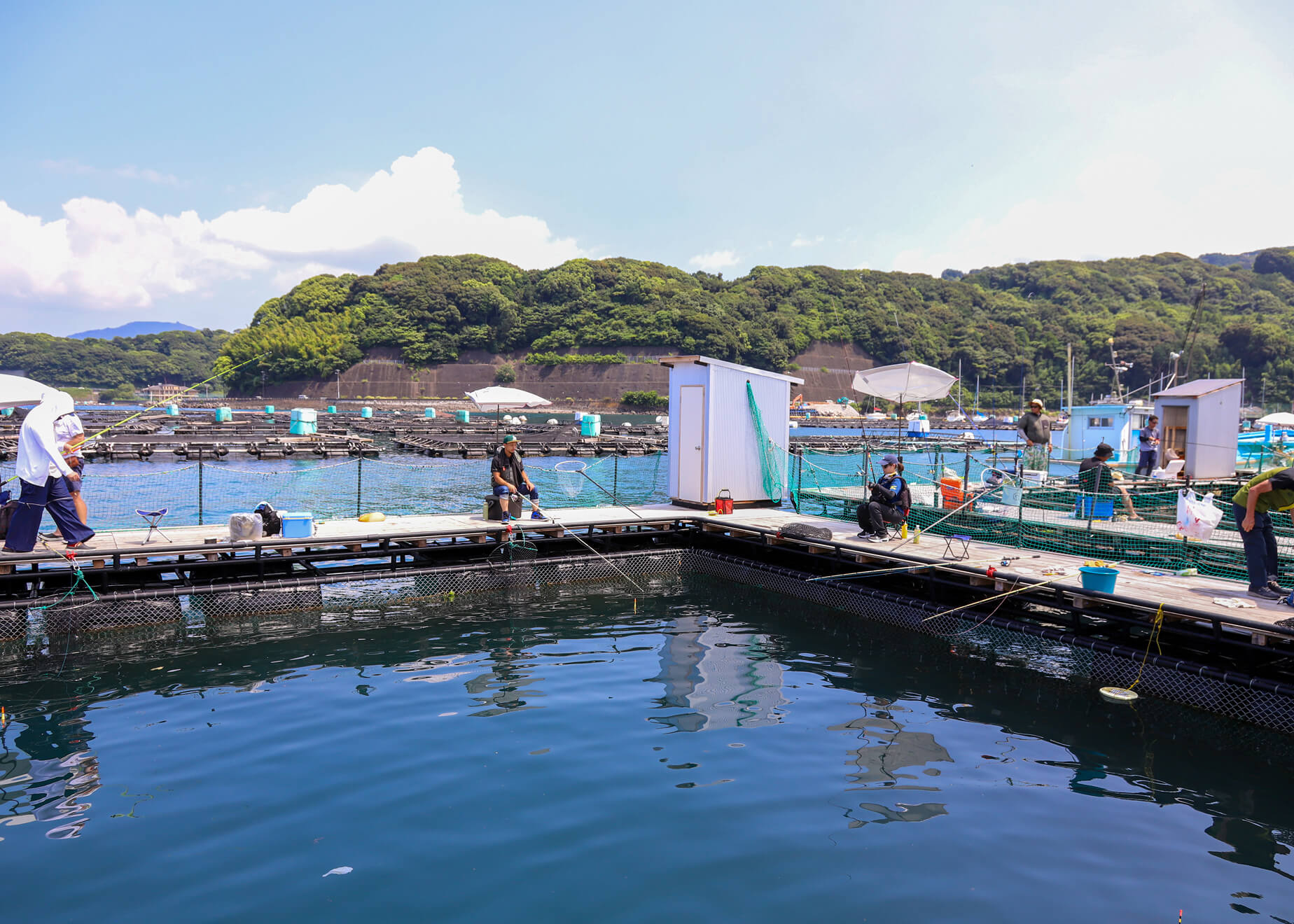 釣堀用スカリ(釣堀、海上釣堀) （シーリア 海上釣堀[SEAREA