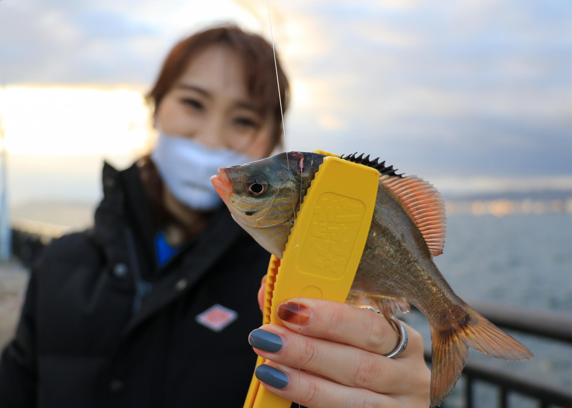 田村釣具 鰍 ウツセミカジカ 田村釣具 鰍 ウツセミカジカ 【公式通販】