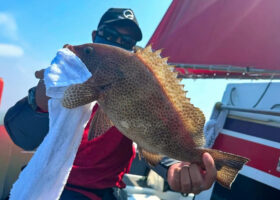 【ノマセ釣り】冬の鍋料理の主役をGET！