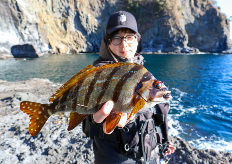 15_　タカノハダイ釣果