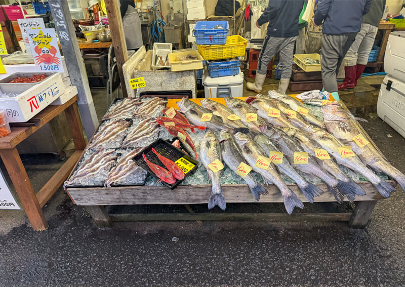 06_ 大きな魚