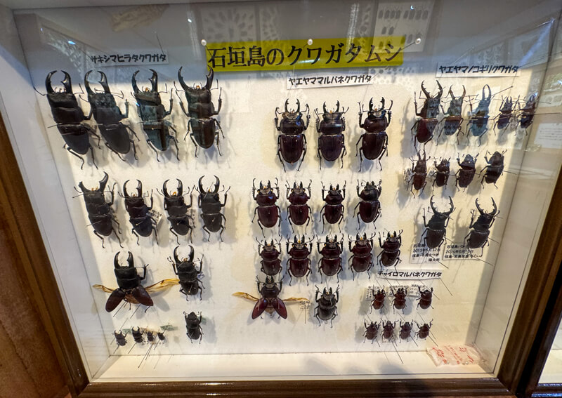 15_　8410