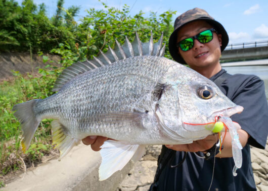 釣り好きなら知っておきたい！魚が集まりやすい「汽水域」ってどんなところ？