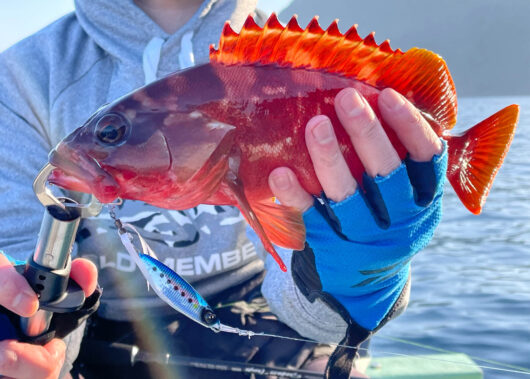 かんたんルアー釣りにオススメ！