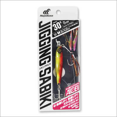 00_　FS700