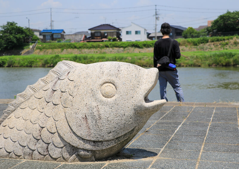 02_ 三木の鯉