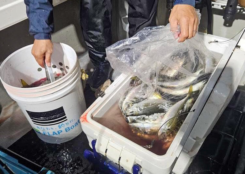 03_　当日の釣果
