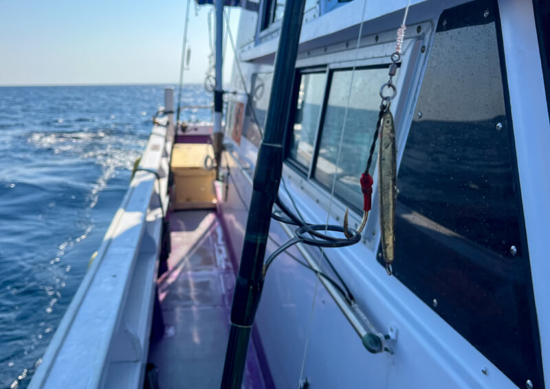 03_ IMG5911