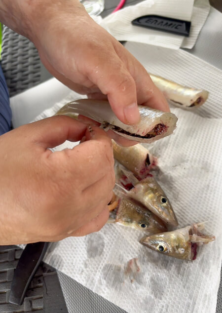 04_ 魚をさばく1