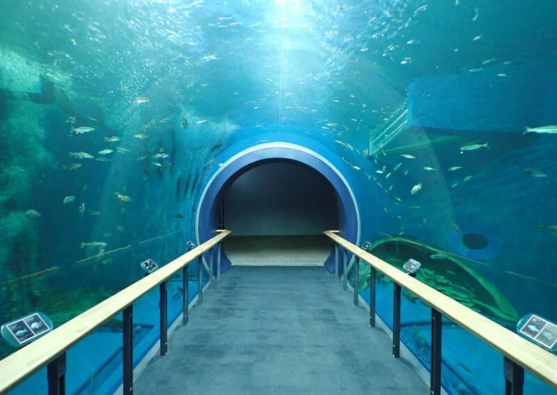 07_ 琵琶湖博物館 内観イメージ