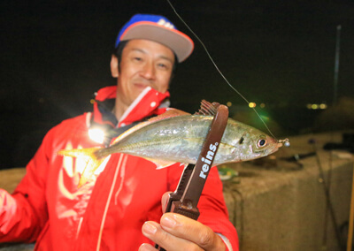 08_ アジ釣果