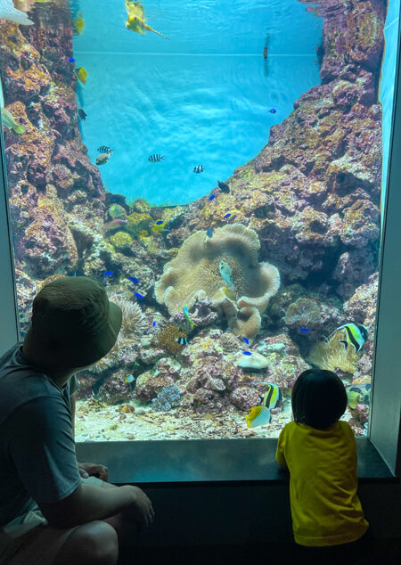 09_ 水族館2