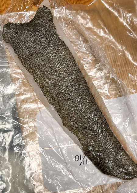 09_ ヒラメの切り身