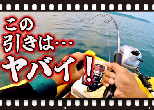 【YouTube動画紹介】