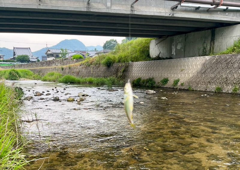 11_ 川遊び⑫