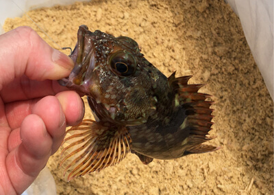 16_　釣り方の手順 05.jpg