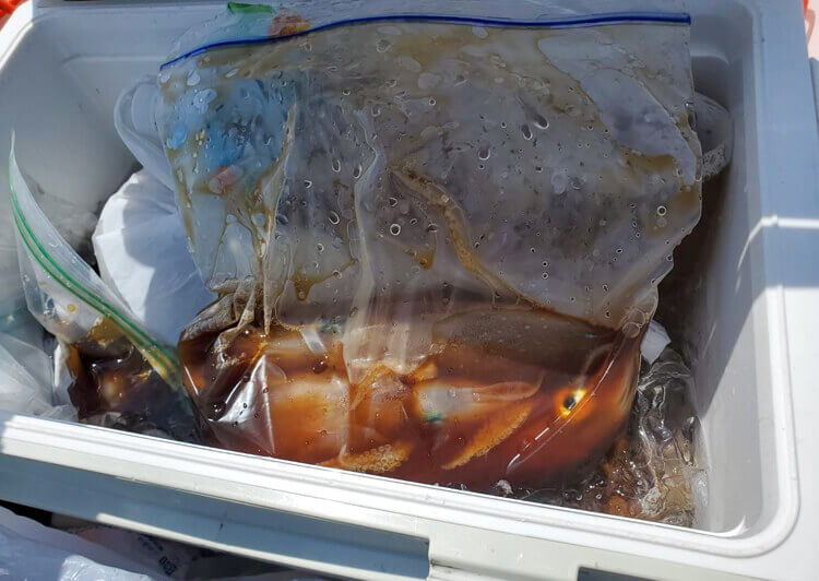 イカの沖漬け