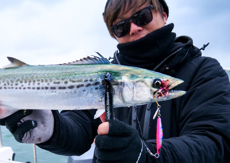 03_ サワラスピン1での釣果